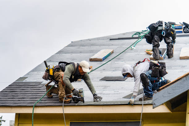 Professional Gutter Installation technician working in Thomson, GA